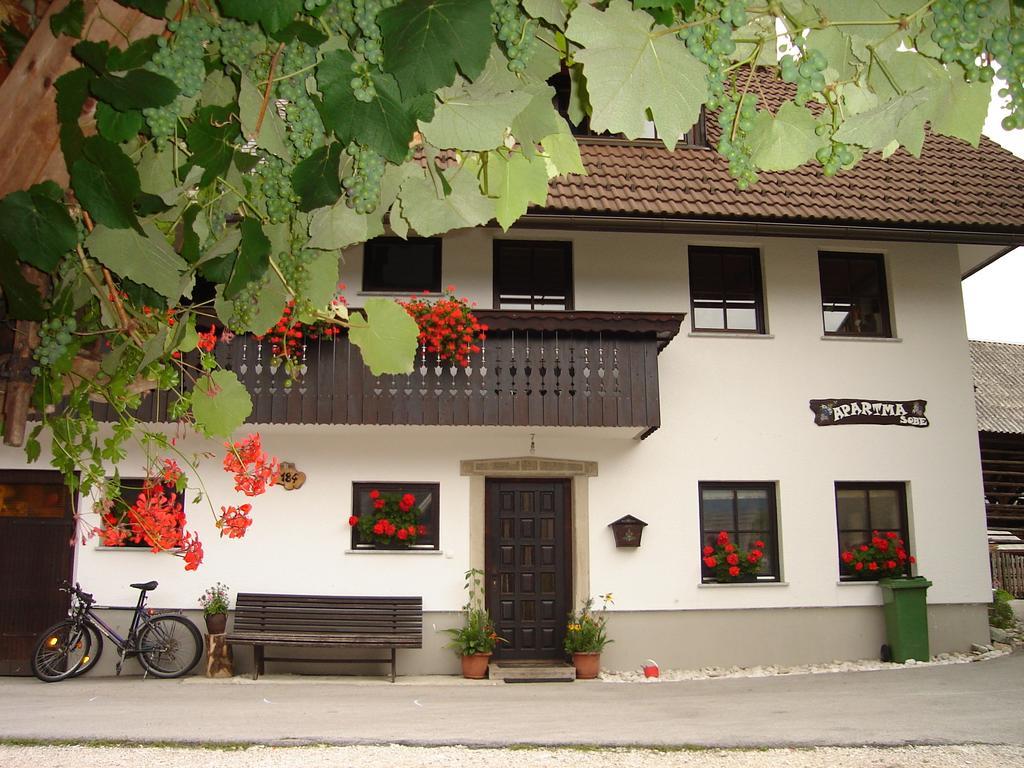 Apartment Cesar Bohinj Exterior photo